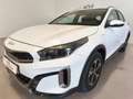 Kia XCeed 1.6 PHEV E-TECH Blanco - thumbnail 11