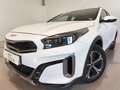 Kia XCeed 1.6 PHEV E-TECH Blanco - thumbnail 12