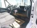 Fiat Ducato 115 (Rs: 3450 mm) (L2H2) Netto € 13.250.- Weiß - thumbnail 4