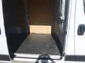 Fiat Ducato 115 (Rs: 3450 mm) (L2H2) Netto € 13.250.- Weiß - thumbnail 6