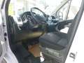 Fiat Ducato 115 (Rs: 3450 mm) (L2H2) Netto € 13.250.- Weiß - thumbnail 3