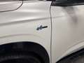 Renault Austral Austral Full Hybrid E-Tech 200 CV Esprit Alpi Bianco - thumbnail 9