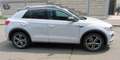 Volkswagen T-Roc Style**R-Line Paket**Klima**1.Bes Grau - thumbnail 5