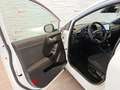 Ford Puma 1.0 EcoBoost MHEV Titanium Aut. 125 Wit - thumbnail 11