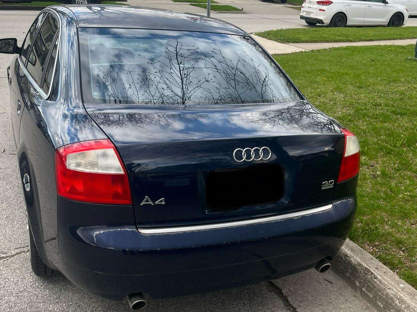 2004 Audi A4 3.0L alt 2