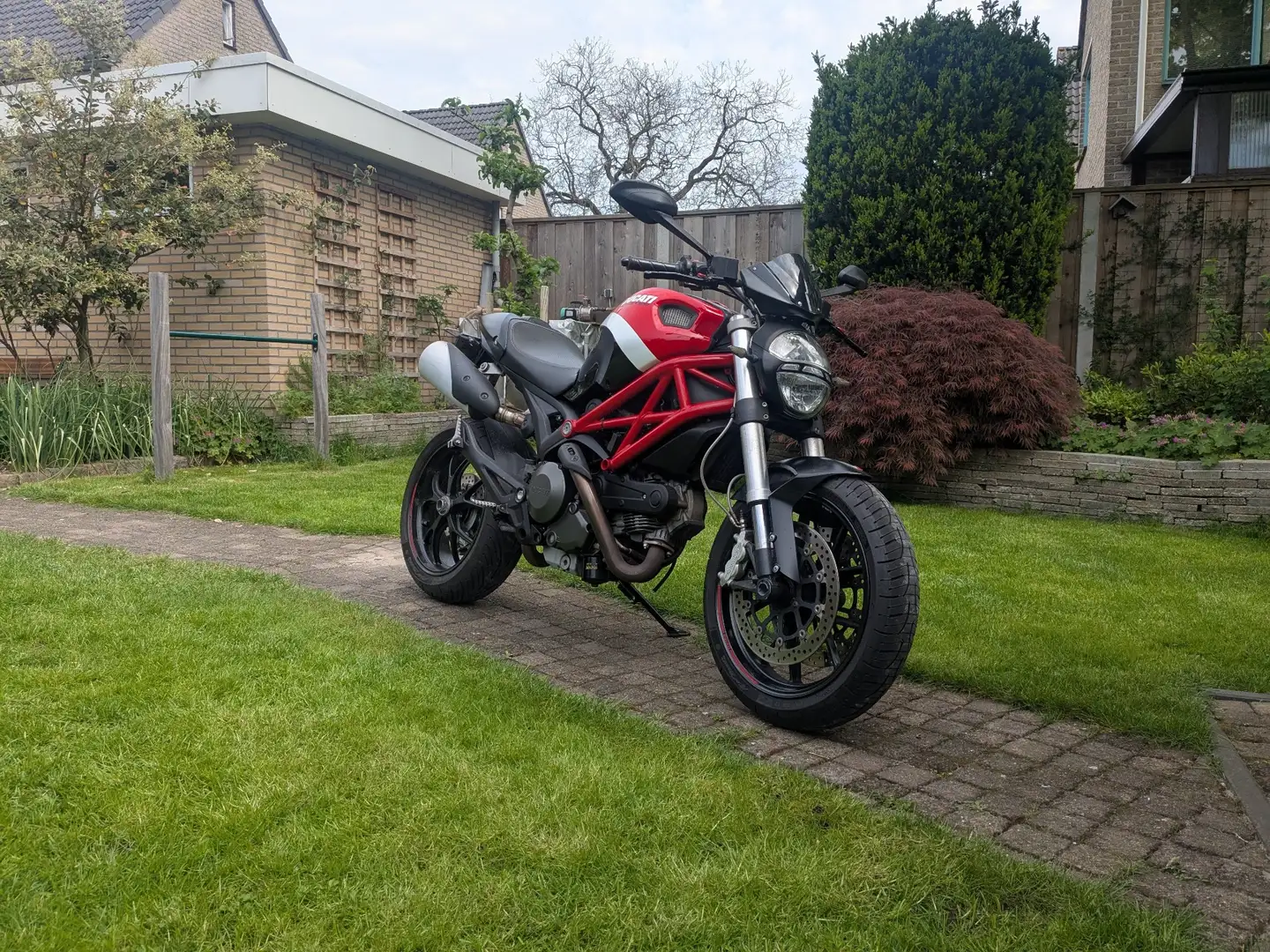 Ducati Monster 796 Rojo - 1