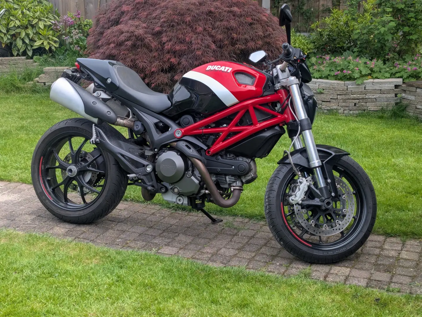 Ducati Monster 796 Rojo - 2