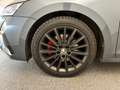 Skoda Octavia 4x4 RS TDI DSG Grau - thumbnail 21