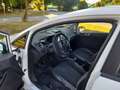 Ford Fiesta Sync Edition Euro 6  MOTORSCHADEN Blanco - thumbnail 14