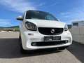 smart forTwo smart fortwo Prime Weiß - thumbnail 8
