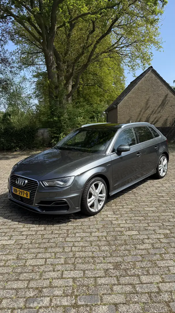 Audi e-tron Gris - 2