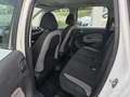 Citroen C3 Picasso C3 Picasso VTi 95 Exclusive Weiß - thumbnail 10