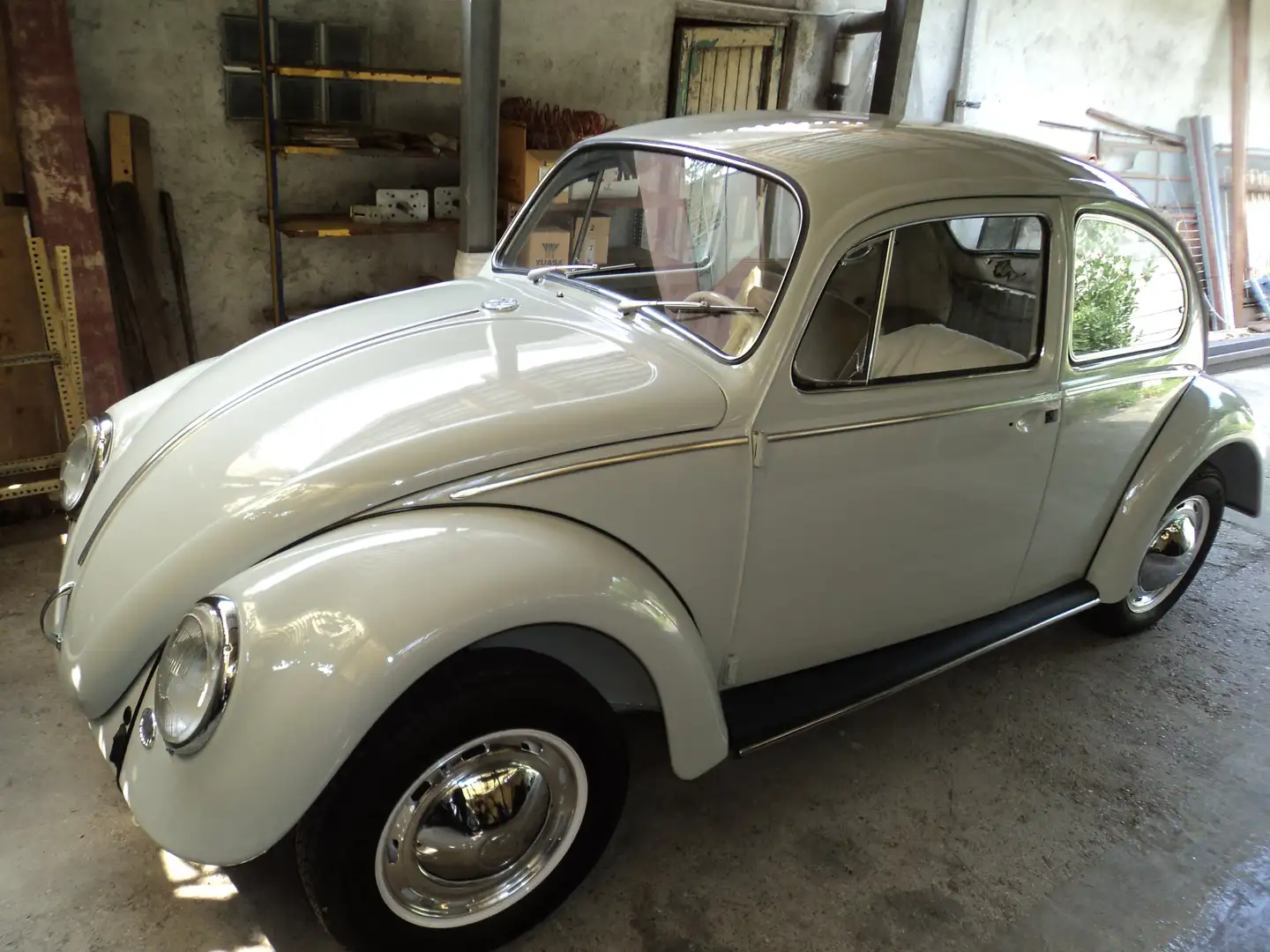 Volkswagen Maggiolino Grigio - 2