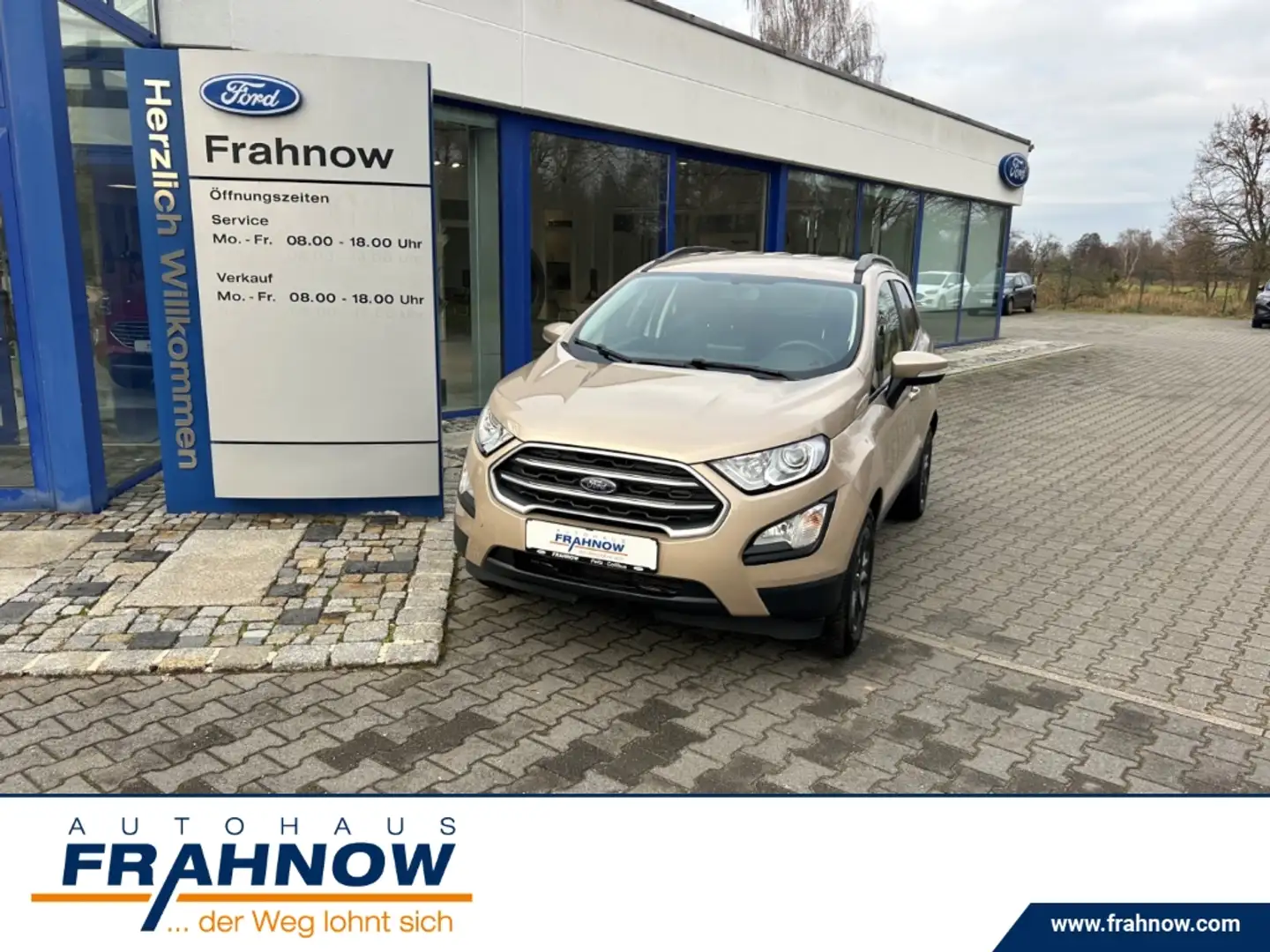 Ford EcoSport 1.0 EcoBoost Cool & Connect NAVI WIPA KAMERA Beige - 1