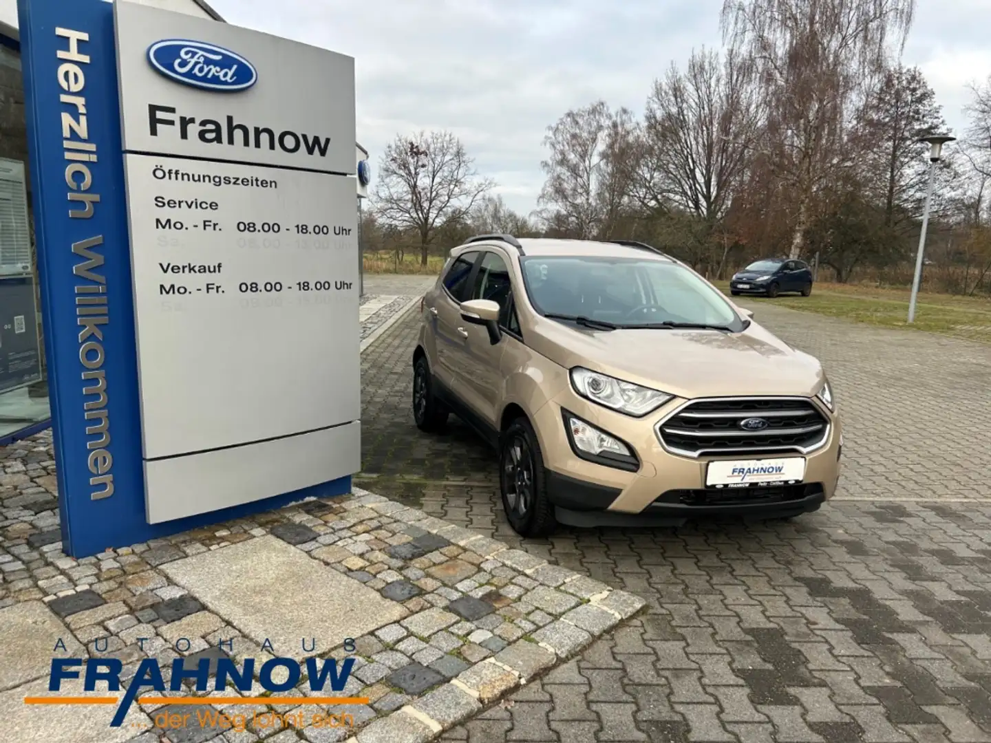 Ford EcoSport 1.0 EcoBoost Cool & Connect NAVI WIPA KAMERA Beige - 2