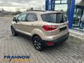 Ford EcoSport 1.0 EcoBoost Cool & Connect NAVI WIPA KAMERA Beige - thumbnail 4