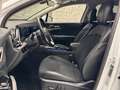 Kia Sportage 1,6 TGDI HEV AWD Silber Aut. Weiß - thumbnail 12