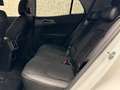 Kia Sportage 1,6 TGDI HEV AWD Silber Aut. Weiß - thumbnail 16