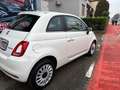 Fiat 500 500 III 2015 1.0 hybrid Dolcevita 70cv Bianco - thumbnail 8