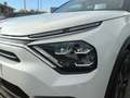 Citroen E-C4 Electric 136CV FEEL PACK Bianco - thumbnail 16