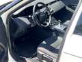 Land Rover Range Rover Evoque 2.0 D150 R-Dynamic HSE AUTO 4WD MHEV Blanco - thumbnail 11