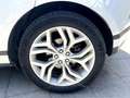 Land Rover Range Rover Evoque 2.0 D150 R-Dynamic HSE AUTO 4WD MHEV Blanco - thumbnail 23