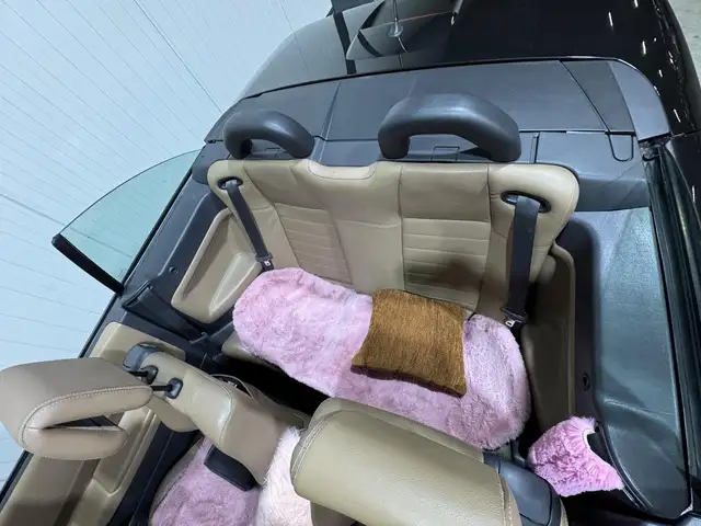 Renault Megane view 22