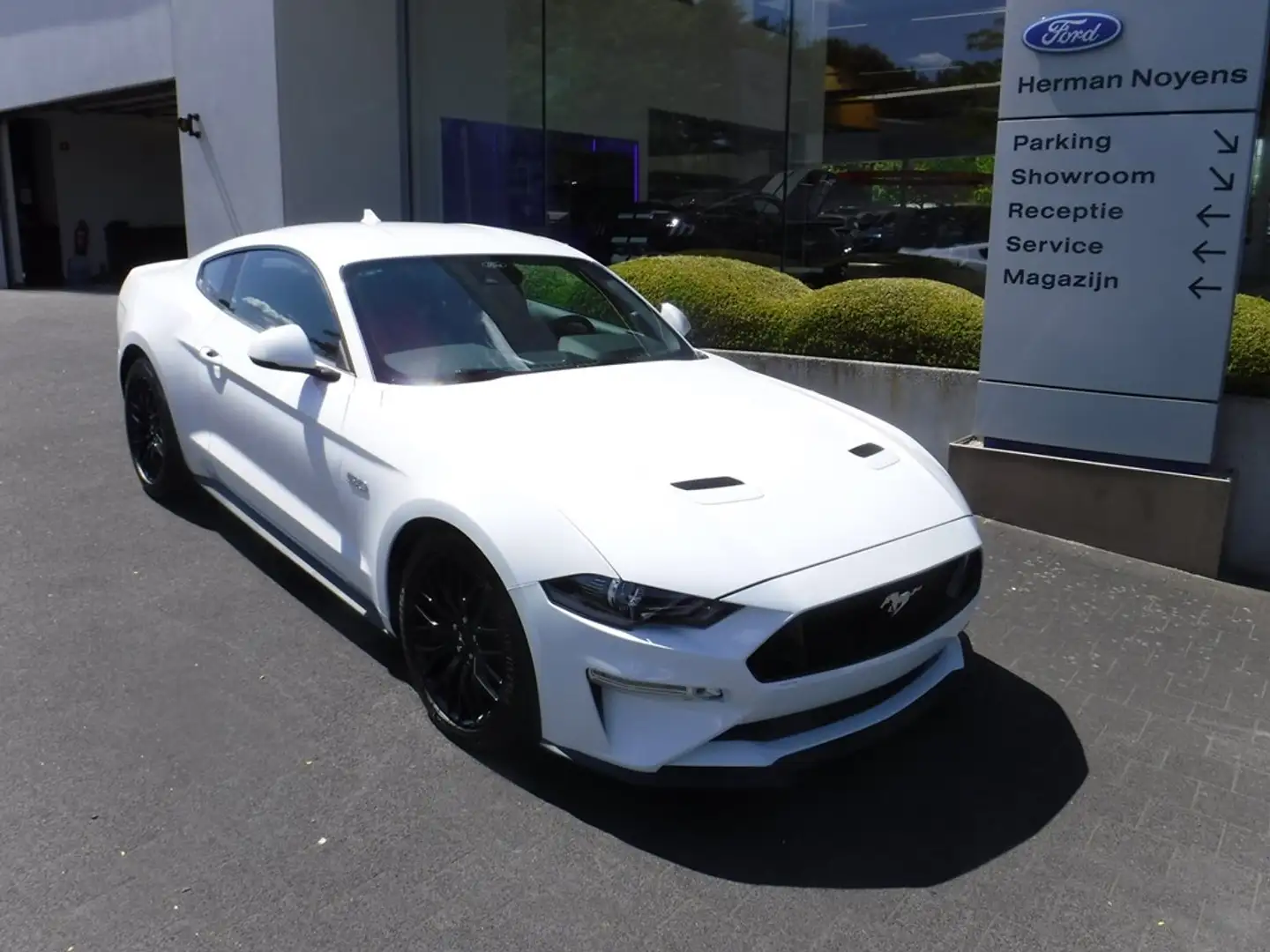 Ford Mustang GT Fastback Blanc - 2
