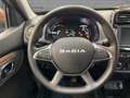 Dacia Spring ELECTRIC EXTREME 65 CCS LED KAMERA UPE:26 Grau - thumbnail 14