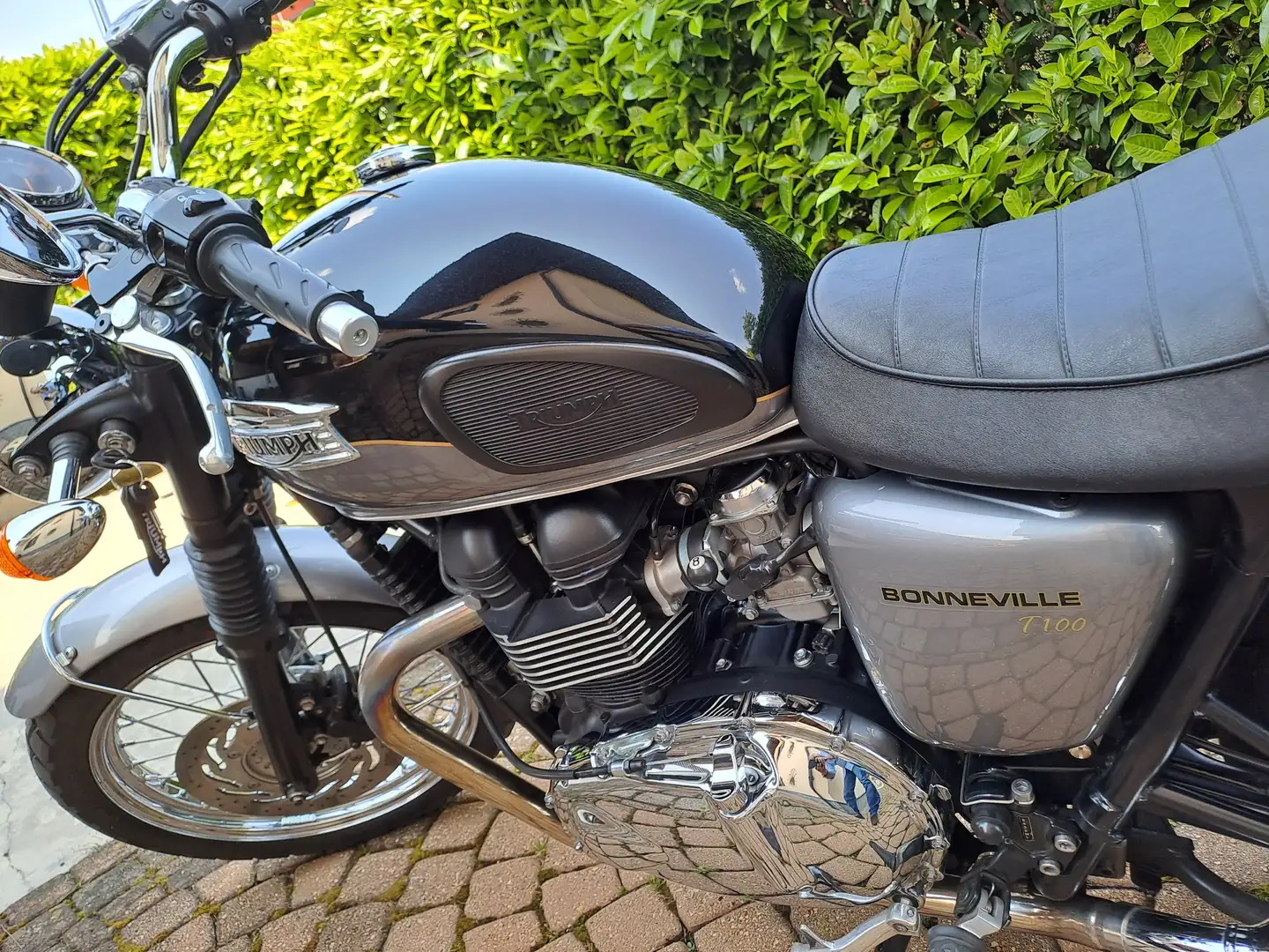 Triumph Bonneville T100 - 1