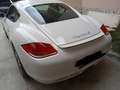Porsche Cayman 3.4 S 320cv Beyaz - thumbnail 3