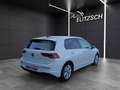Volkswagen Golf VIII eTSI Life DSG LED AHK Navi Pano AID ACC Pa... Weiß - thumbnail 7