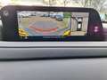 Mazda CX-30 2. e -G M Hybrid 360 camera /navi/clima/pdc v+a/en Gris - thumbnail 4