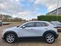 Mazda CX-30 2. e -G M Hybrid 360 camera /navi/clima/pdc v+a/en Gris - thumbnail 10