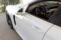 Porsche Panamera ST 4S E-Hybrid SPORT-DESIGN PANO MATRIX Blanc - thumbnail 12