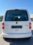 Volkswagen Caddy Trendline 2,0 TDI DPF 4MOTION *Wenig Km* Weiß - thumbnail 6