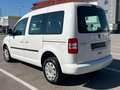 Volkswagen Caddy Trendline 2,0 TDI DPF 4MOTION *Wenig Km* Weiß - thumbnail 5