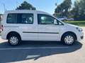 Volkswagen Caddy Trendline 2,0 TDI DPF 4MOTION *Wenig Km* Weiß - thumbnail 8
