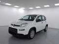 Fiat Panda Panda III 2012 1.2 Easy 69cv E6 Белый - thumbnail 1