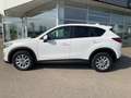 Mazda CX-5 CD150 AWD Challenge Aut. Weiß - thumbnail 11