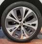 Renault Scenic Scénic 1.6 DCI 130ch ENERGY INTENS Blanc - thumbnail 13