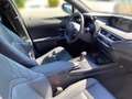 Lexus UX 300e Komfort+Executive Paket LED Grau - thumbnail 6