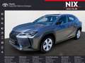 Lexus UX 300e Komfort+Executive Paket LED Grau - thumbnail 1