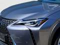 Lexus UX 300e Komfort+Executive Paket LED Grau - thumbnail 14