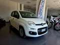 Fiat Panda Panda III 2016 1.2 Easy easypower Gpl 69cv my19 Bianco - thumbnail 1