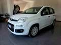 Fiat Panda Panda III 2016 1.2 Easy easypower Gpl 69cv my19 Bianco - thumbnail 4