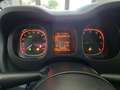 Fiat Panda Panda III 2016 1.2 Easy easypower Gpl 69cv my19 Bianco - thumbnail 10