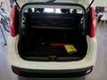 Fiat Panda Panda III 2016 1.2 Easy easypower Gpl 69cv my19 Bianco - thumbnail 6