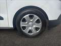 Ford Transit Courier 1.5 tdci 100cv S&S Trend my20 Bianco - thumbnail 14