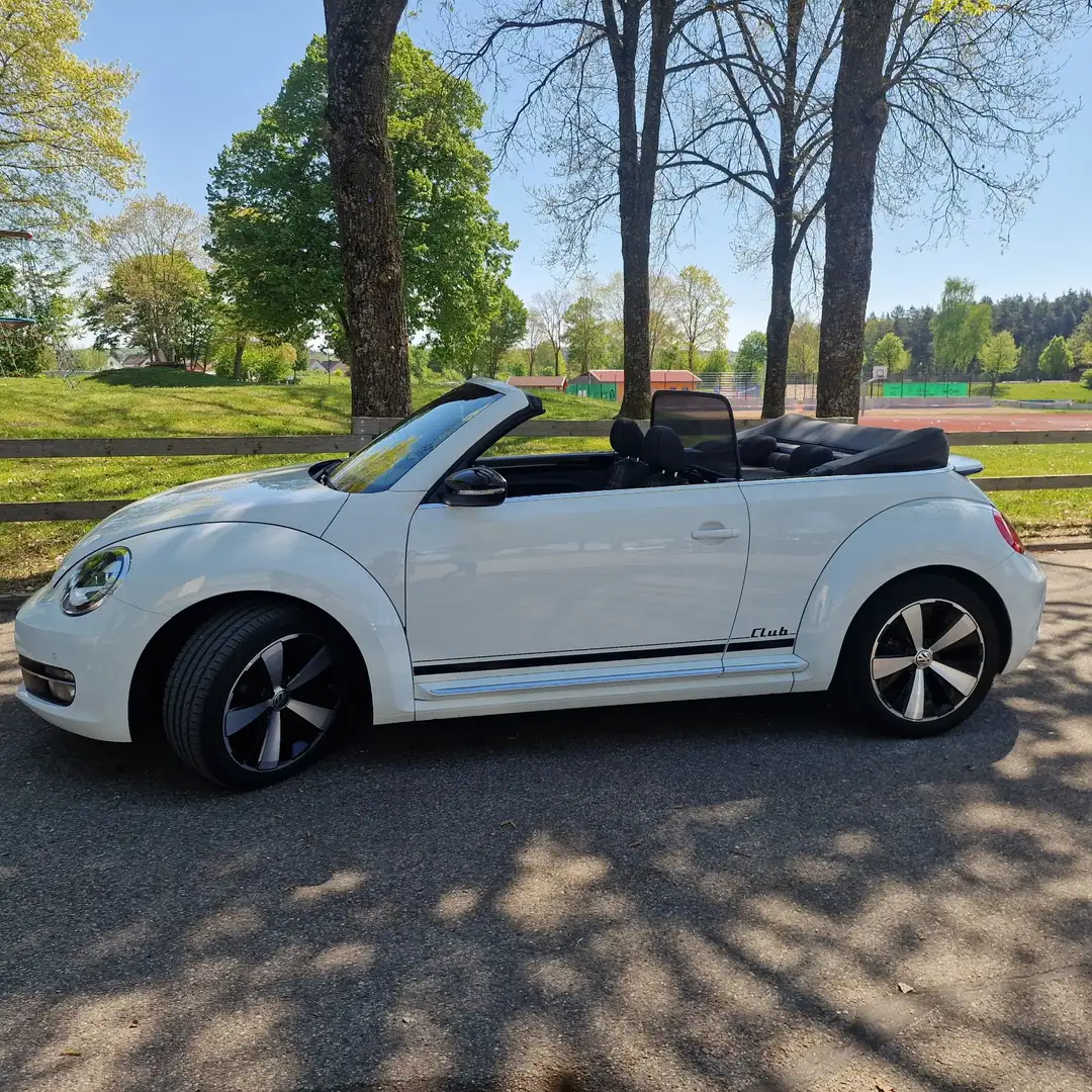 Volkswagen Beetle The Beetle Cabriolet 1.2 TSI BlueMotion Technology Weiß - 1
